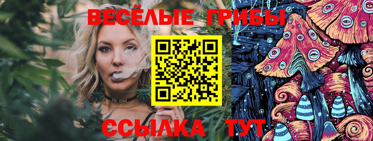 Тихвин  Псилоцибиновые грибы GOLDEN TEACHER  Вход с VPN 